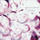 TheMe