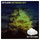 Between Sky - Original Mix