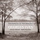 Violin Sonata No. 4 "Children's Day at the Camp Meeting": I. Allegro