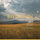Piano Sonata No. 4 in E-Flat Major Op. 7 "Grand": I. Allegro molto e con brio