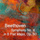 Symphony No. 4 in B Flat Major, Op. 60: I