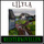 Meisternovellen 16 Kapitel 1