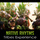 Native Rhytms: Tribes Experience