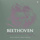 Violin Sonata No. 1 in D Major, Op. 12 No. 1: I. Allegro con brio