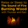 Wood, Fire, Thunder 1