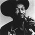 lien vers la pageClarence "Gatemouth" Brown