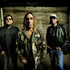lien vers la pageThe Stooges