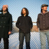 lien vers la pageThe Stepkids