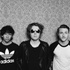 lien vers la pageThe Vines