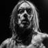 lien vers la pageIggy Pop