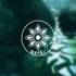 lien vers la pageMusica Reiki