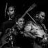 lien vers la pageHigh On Fire