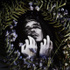 lien vers la pageBrandon Boyd