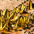 lien vers la pageButterfly