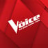 lien vers la page The Voice