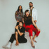 lien vers la pageSilversun Pickups