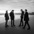 lien vers la pageThe Futureheads
