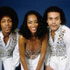 lien vers la pageShalamar
