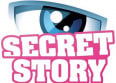 Secret Story : Matt Houston signe le générique