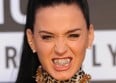 Katy Perry : son frère s'en prend à elle sur Twitter
