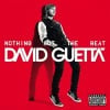David Guetta Nothing But Th